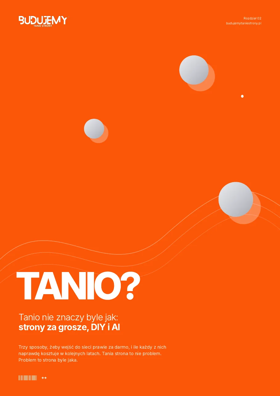 Rozdział 2: tanio nie znaczy byle jak – strony za grosze, DIY i AI